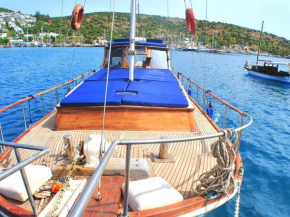 Evoteli Group Kuzey Alina Yachting (1130)